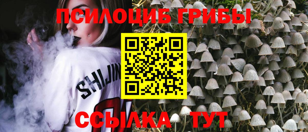 Псилоцибиновые грибы Psilocybe  Вход с VPN  Россия 