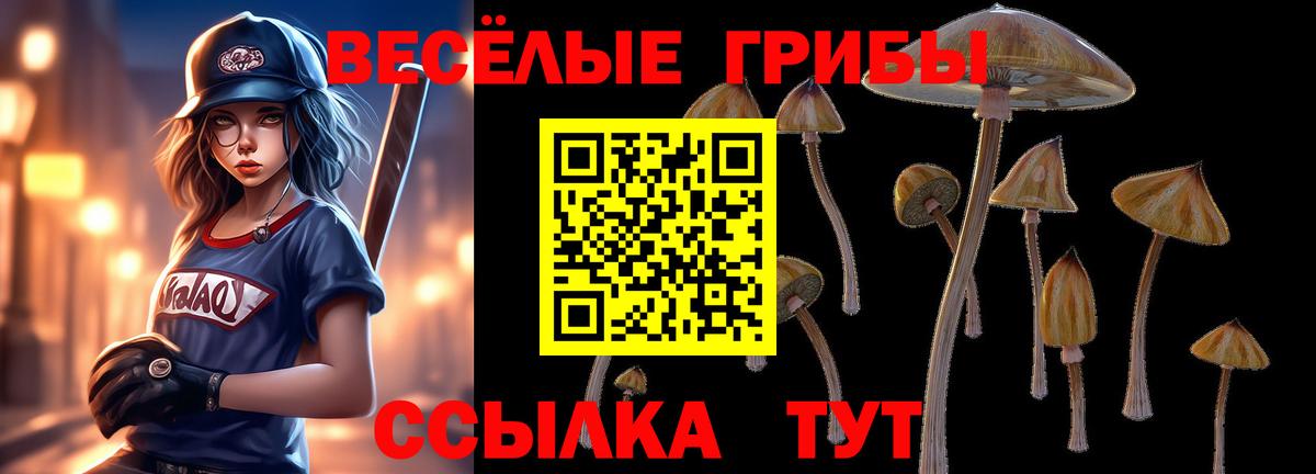Галлюциногенные грибы MAGIC MUSHROOMS Россия